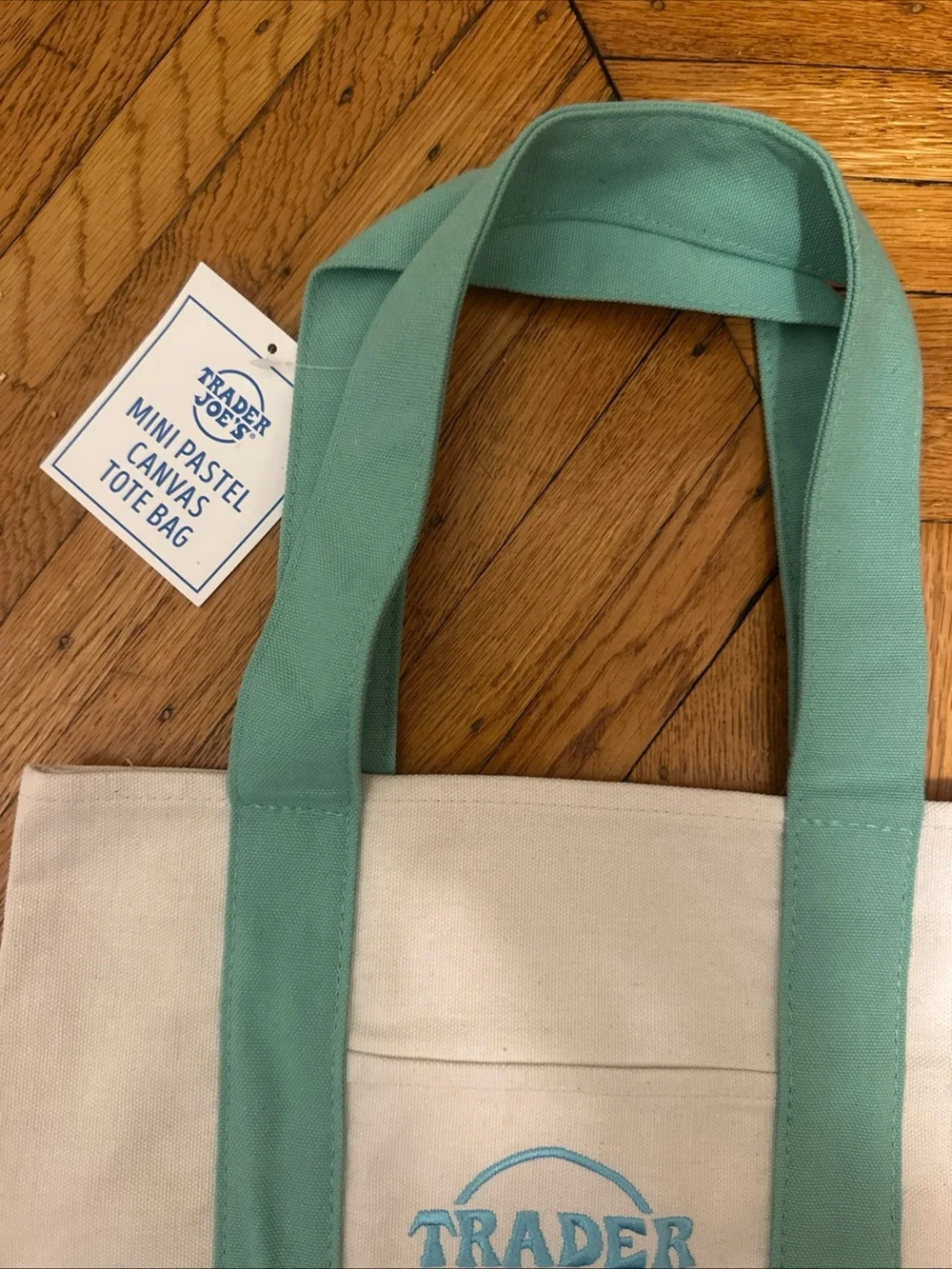 Trader Joe's Mini Pastel Canvas Tote Bag - Mint and Cream